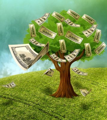 MONEY-TREE.jpg